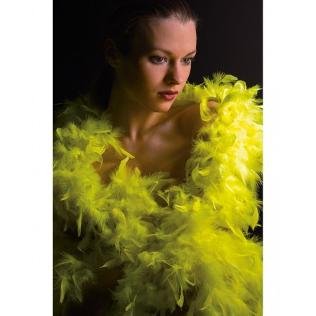 Φτερό Μποα Κίτρινο Φλούο 180 εκ.