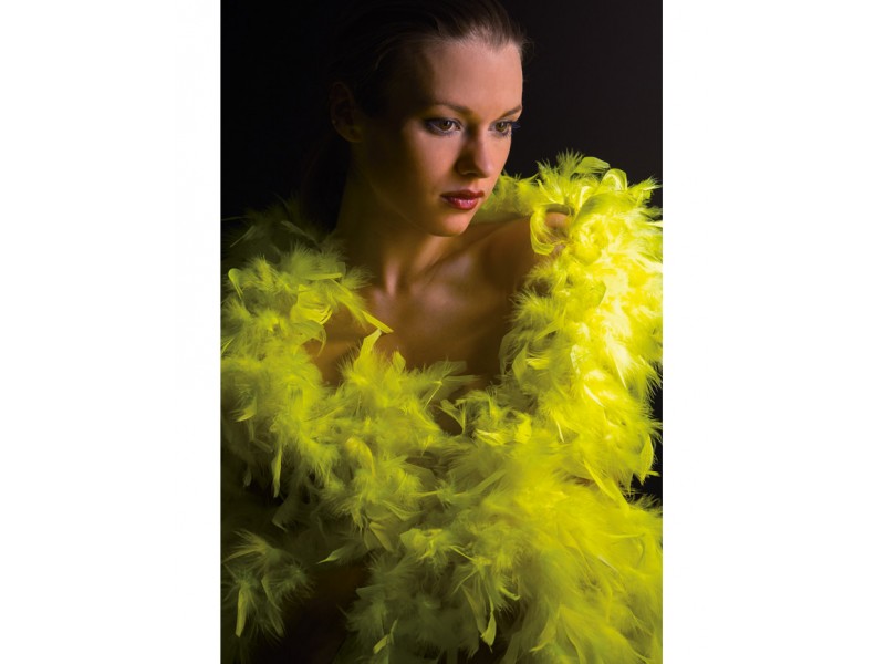 Φτερό Μποα Κίτρινο Φλούο 180 εκ.