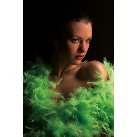 Φτερό Μποα Πράσινο Φλούο 180 εκ.