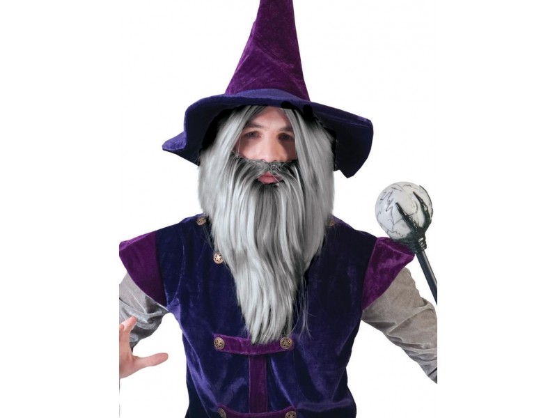 Περούκα Και Γενειάδα Μάγου Γκρι