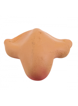 Μύτη για ξωτικά