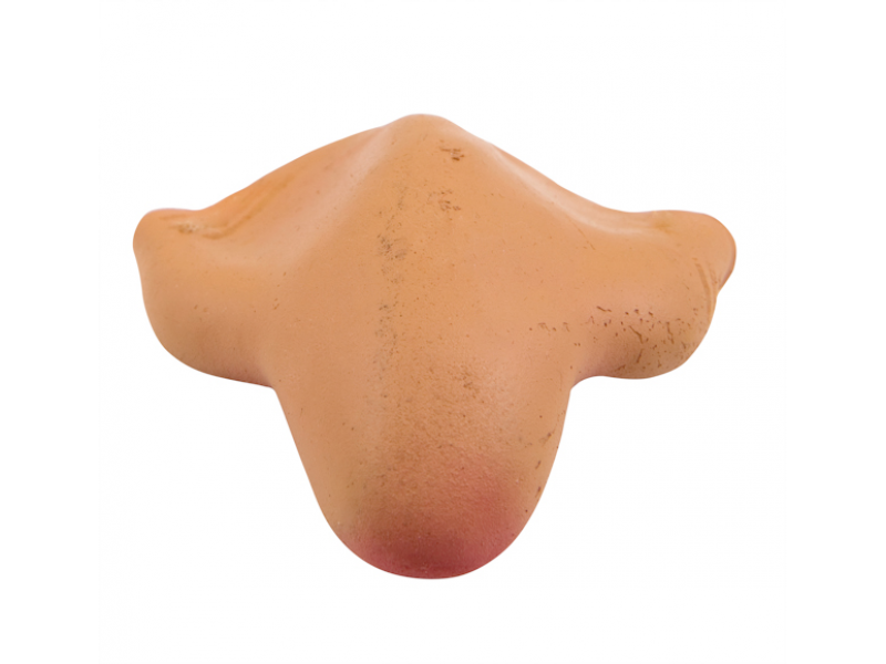 Μύτη για ξωτικά