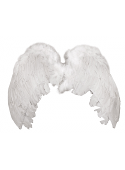 Άσπρα φτερά για αγγελάκια